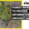 Forest inventory to provide information on drought damage