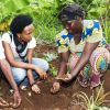 Expertinnen und Experten untersuchen den Boden in Ruanda.