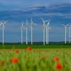 Mehrere Windkraftanlagen erzeugen auf einer landwirtschaftlichen Fläche umweltfreundlichen Strom aus erneuerbaren Energien.