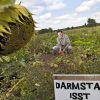 Einklang mit Natur und Tierwelt: Öko-Landwirt Thomas Goebel.