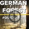 #Quickfacts: German forest
