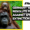Germany wants resolute fight against species extinction | #NewsDE