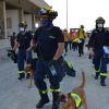 Helfer des Technischen Hilfswerks sind im Libanon im Einsatz.