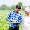 Indischer Bauer mit einem Berater auf einem Baumwollfeld