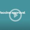 How is a vaccine tested and approved?