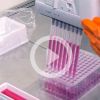 Encouraging resultst on vaccine from Pfizer and Biontech