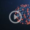 More than 95 900 corona detections in Germany