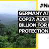 COP27: Additional billion from Germany for forest protection