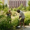 Urban Gardening ist in Deutschland sehr beliebt. 