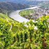 Weinberge mit Blick auf eine Stadt.