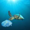 In den Meeren der Welt treibt zu viel Plastikmüll. 