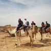 Highlight für die Schüler: Kamelreiten an der ägyptischen Grenze