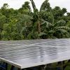 Solarzellen in indonesischem Wald 