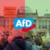 Über ein mögliches Verbotsverfahren gegen die AfD wird in Deutschland diskutiert. 