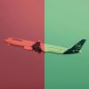 Flugzeug