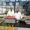 Michael Frei und Muhammad Shahedul Alam im Gewächshaus der Universität Gießen