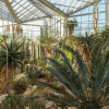 Der Palmengarten in Frankfurt am Main.