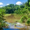 Fluss im Madidi-Nationalpark in Bolivien.