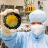 Mikrochips: Rückgrat der digitalen Welt 