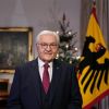 Bundespräsident Steinmeier 