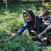 In einem Projekt in Indien dreht sich alles um gesunde Ernährung. 