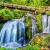 Wasserfall im Schwarzwald