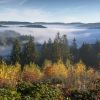 Verwunschen – emotionaler Blick auf den Schwarzwald