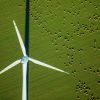 Nachhaltige Energie: Windrad auf einer Schafweide in Deutschland.