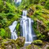 Die Natur blüht auf: Wasserfall im Schwarzwald