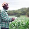 Digitalisierung hilft Farmern.