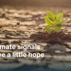 Five climate signals that give a little hope