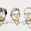 Die Medizin-Nobelpreisträger 2026: Karl Deisseroth, Peter Hegemann und Georg Nagel (v. l.).