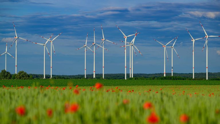 Mehrere Windkraftanlagen erzeugen auf einer landwirtschaftlichen Fläche umweltfreundlichen Strom aus erneuerbaren Energien.
