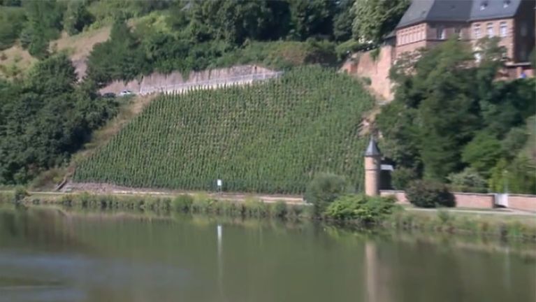 Auswärtiges Amt - Riesling