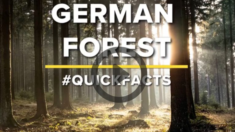 #Quickfacts: German forest