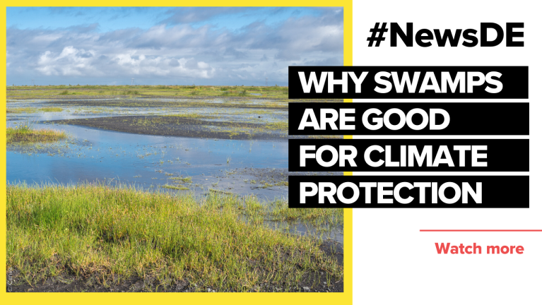 Not just a meadow - marshlands with great significance