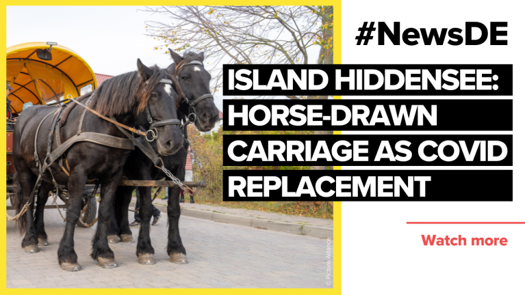 Island Hiddensee: Horse-drawn carriage as Corona replacement service