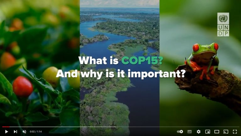 What is COP15 and why is it important?