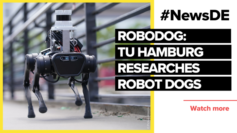 RoboDog: TU Hamburg researches robot dogs