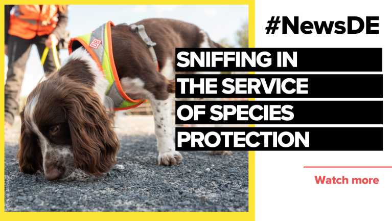 Railway employees on four legs: sniffing in the service of species protection 