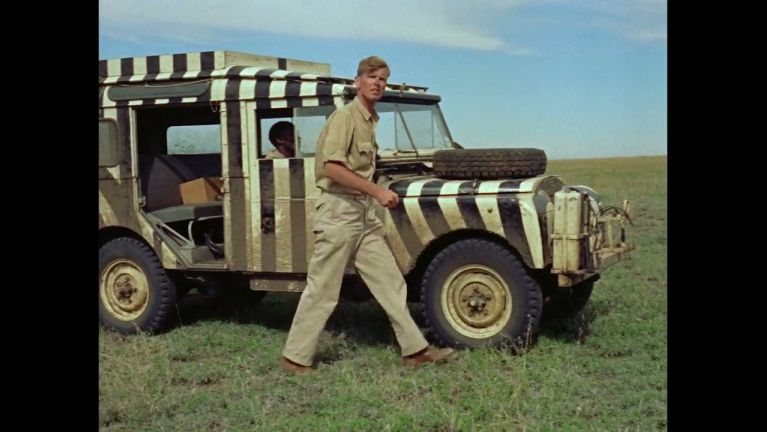 Serengeti darf nicht sterben Serengeti darf nicht sterben