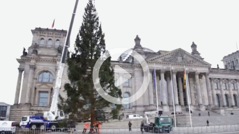 Weihnachtsbaum vor dem Reichstagsgebäude aufgestellt