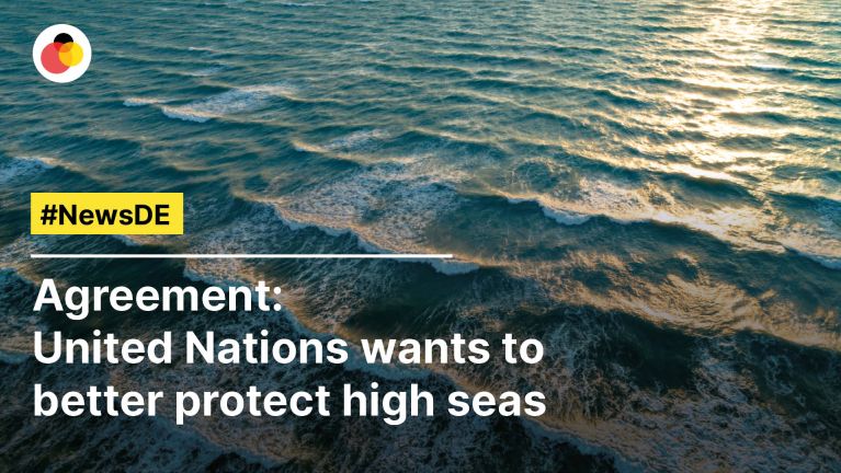 Agreement: United Nations wants to better protect high seas