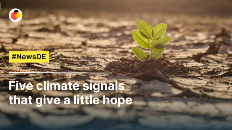 Five climate signals that give a little hope