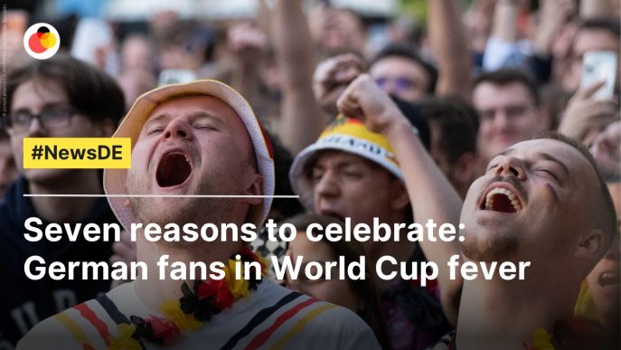 Seven reasons to celebrate: German fans in World Cup fever